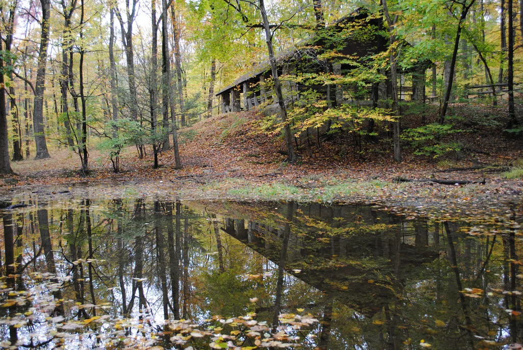 Wooded pond with a pavilion and leaves reflected in the water