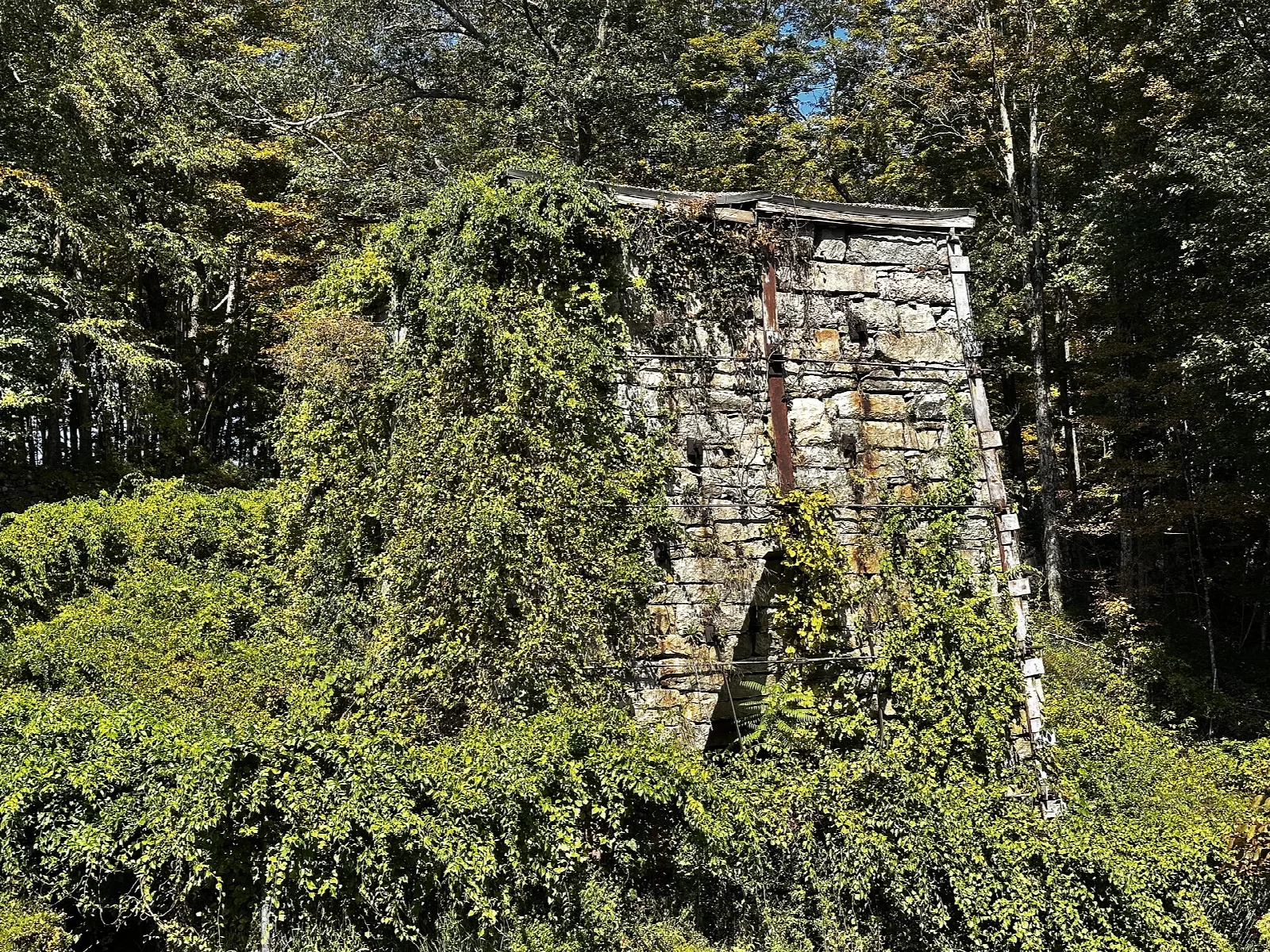 Overgrown stone iron furnace stack surrounded by vines