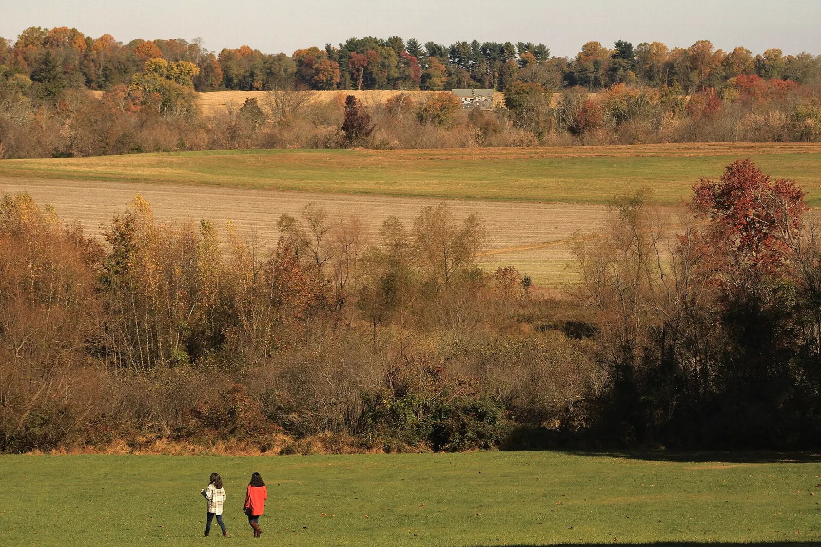 Open farm field with autumn trees and two people walking