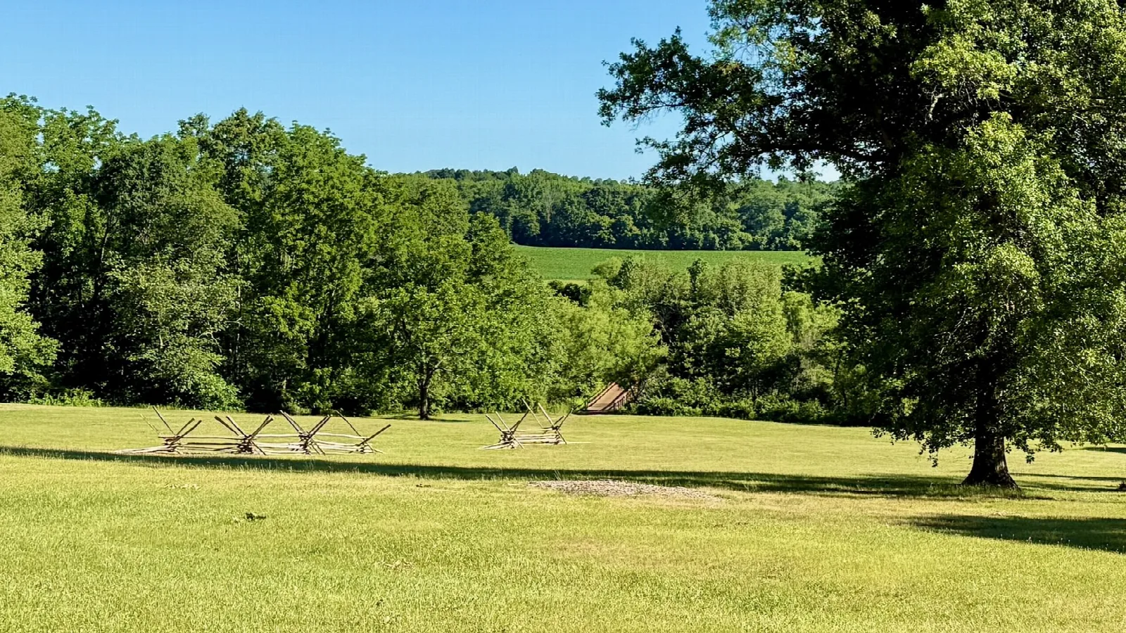 Wide green field with large trees and farmland beyond