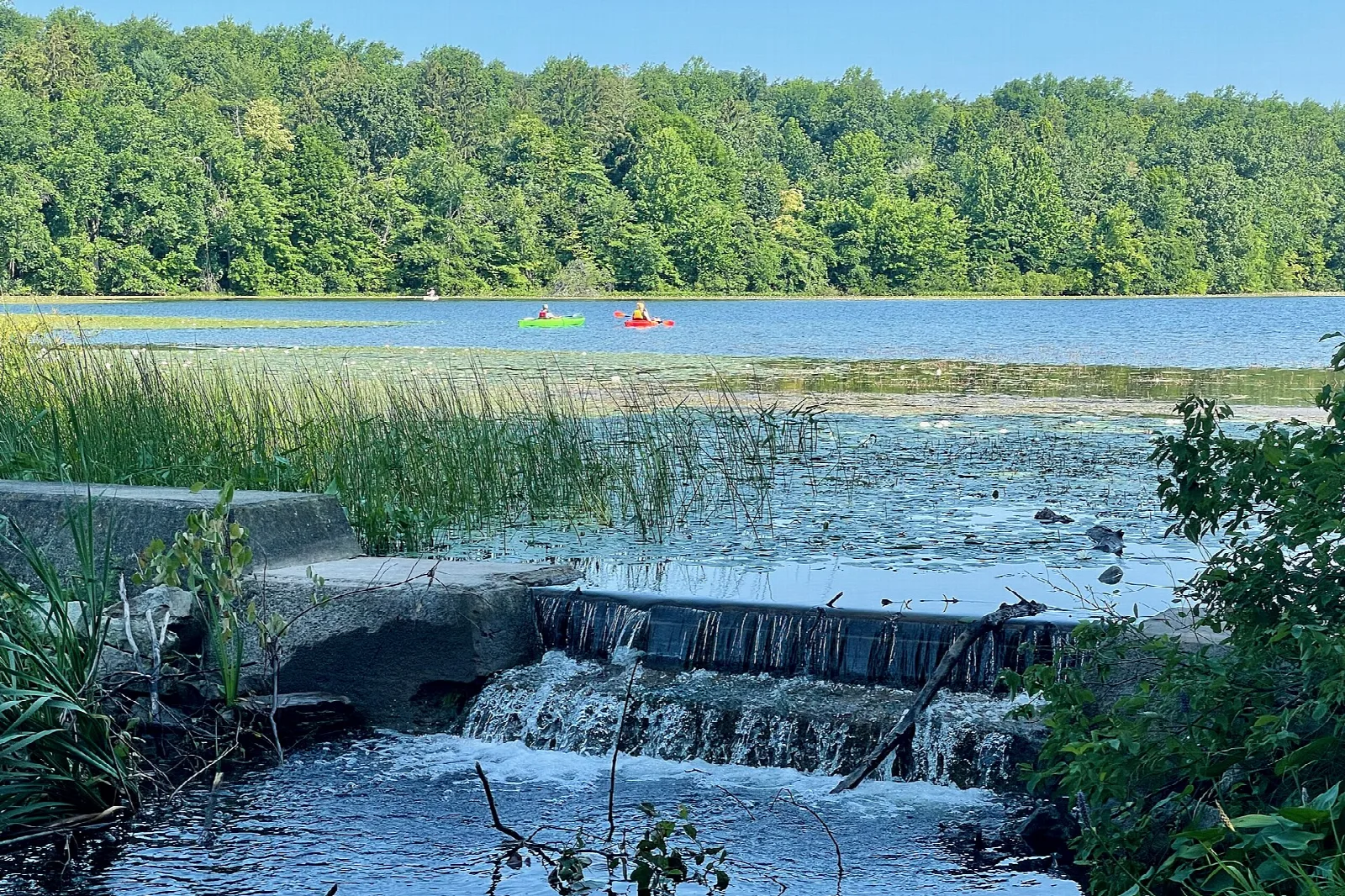 Lake with a small dam, reeds and two kayakers in the distance
