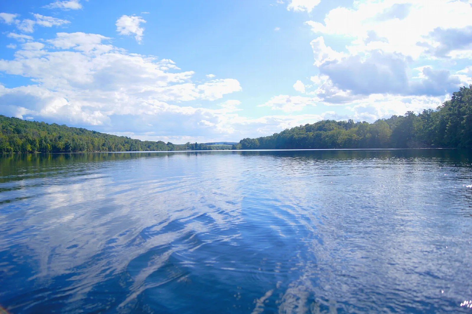 Wide blue lake under clouds with tree-lined shore