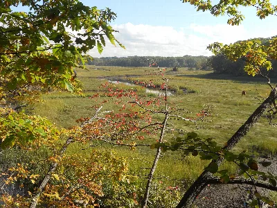 Cheesequake State Park