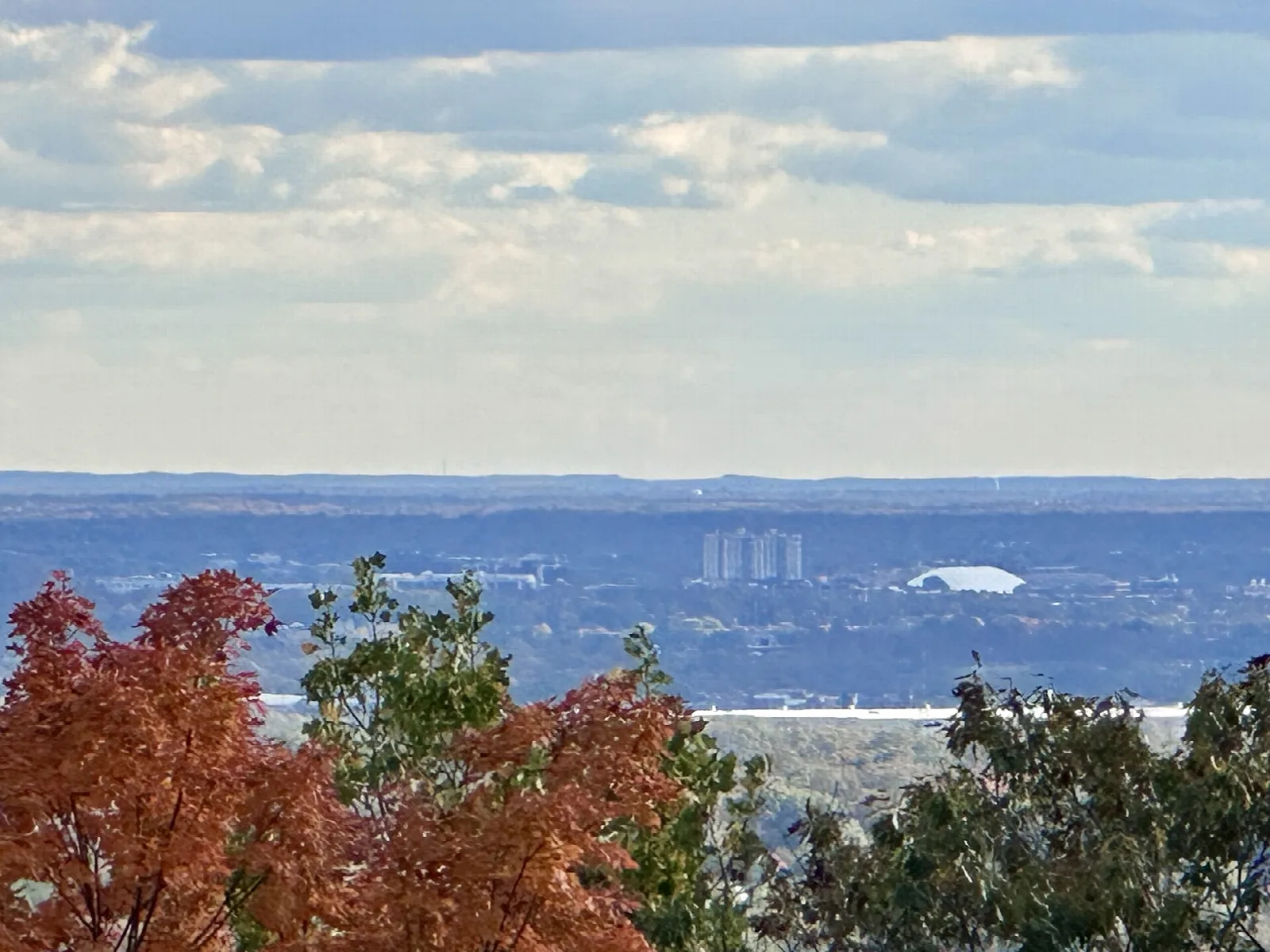 Red autumn tree in front of a distant valley view
