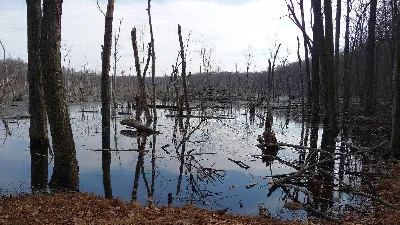 Farny State Park