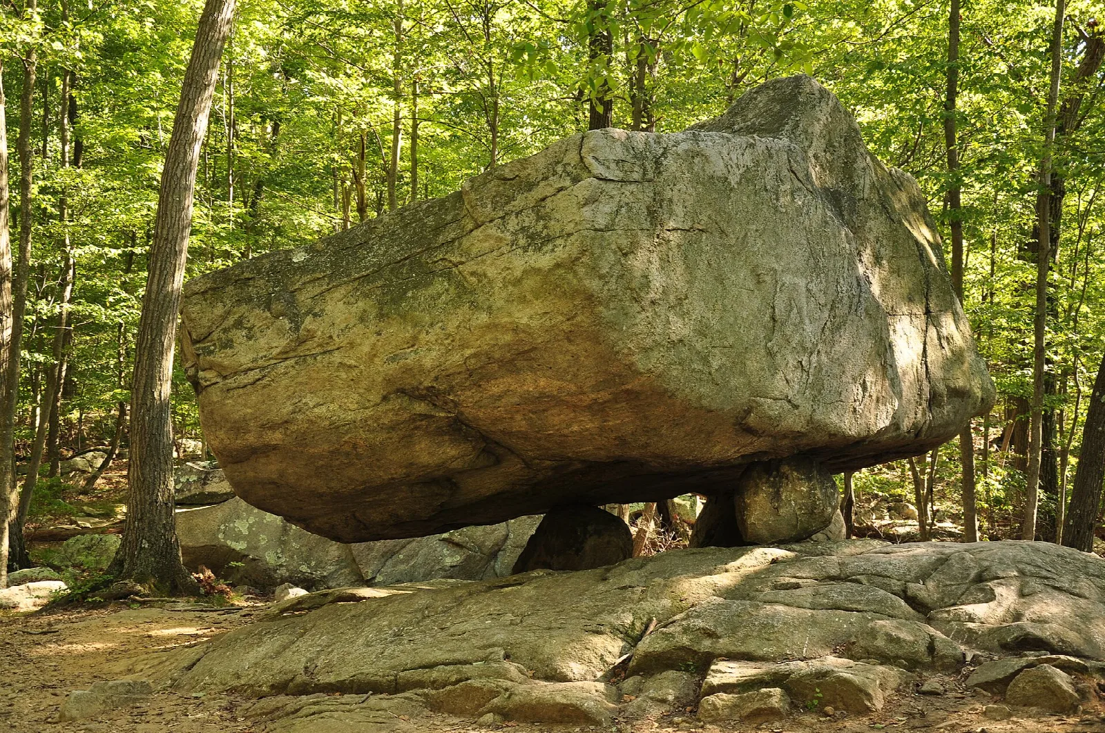 Huge boulder balanced on small rocks in a green forest