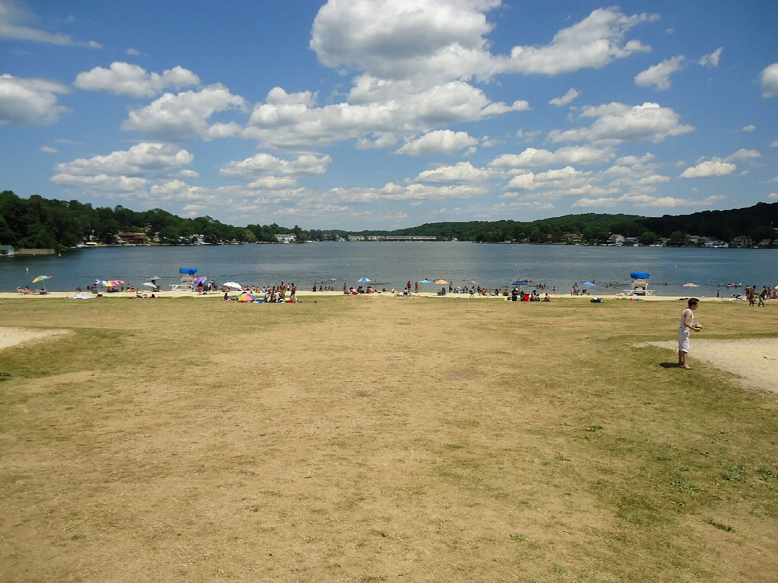 Grassy lakefront and beach under a blue sky with clouds