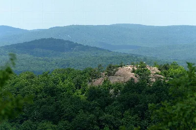 Norvin Green State Forest