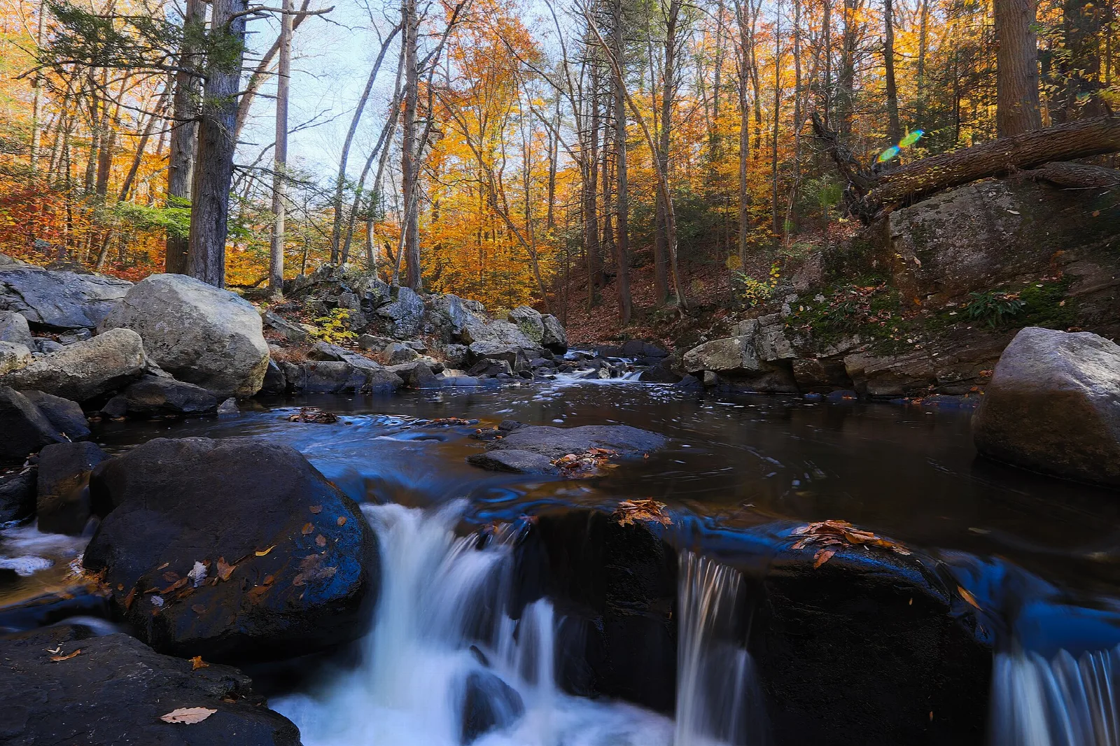 Water spilling over dark boulders in an autumn forest
