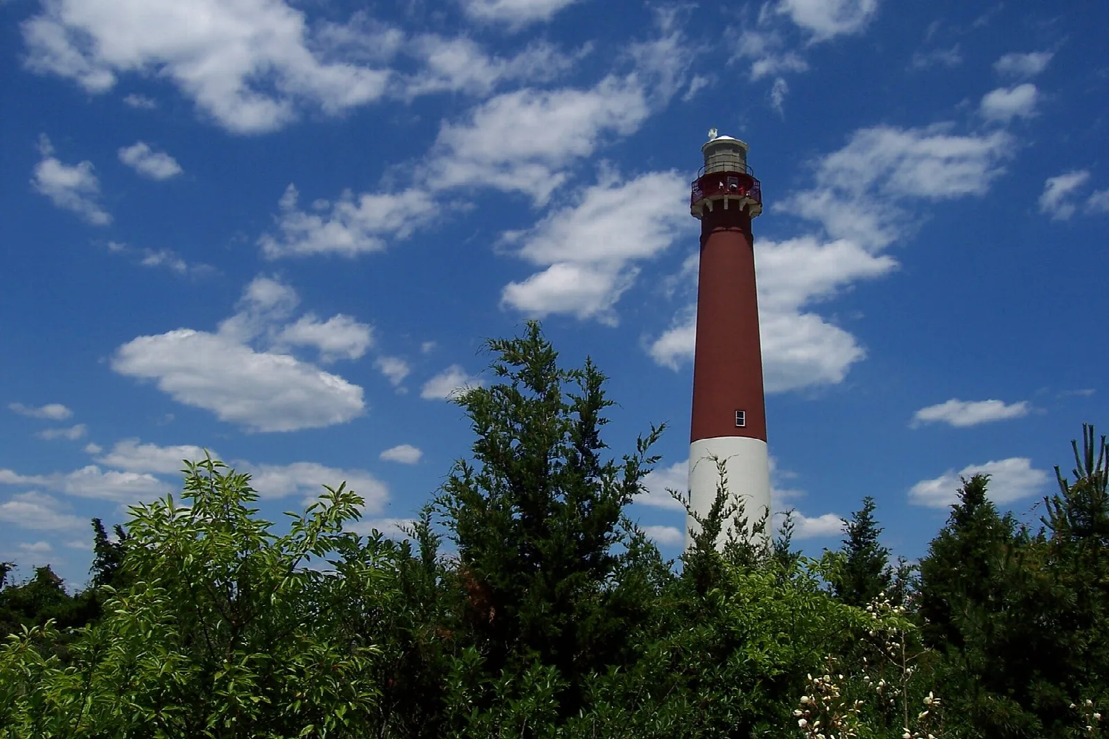 Tall red and white lighthouse rising above green trees under a blue sky
