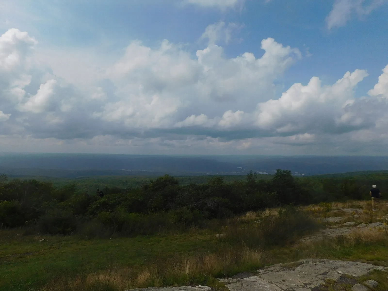 Open rocky ledge looking over forested valley