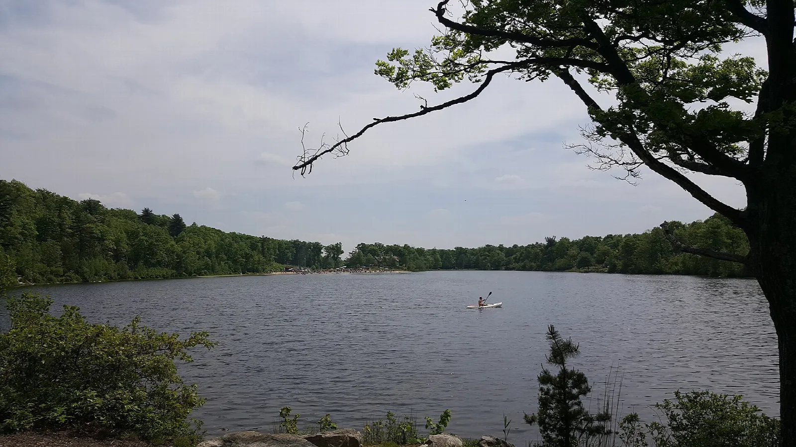 Calm lake ringed by forest under a cloudy sky