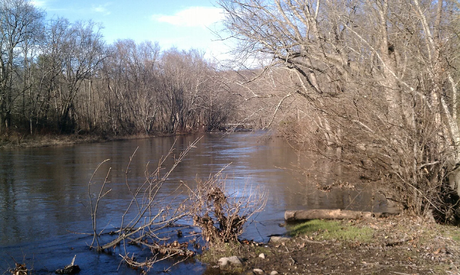 Wide river bordered by bare trees