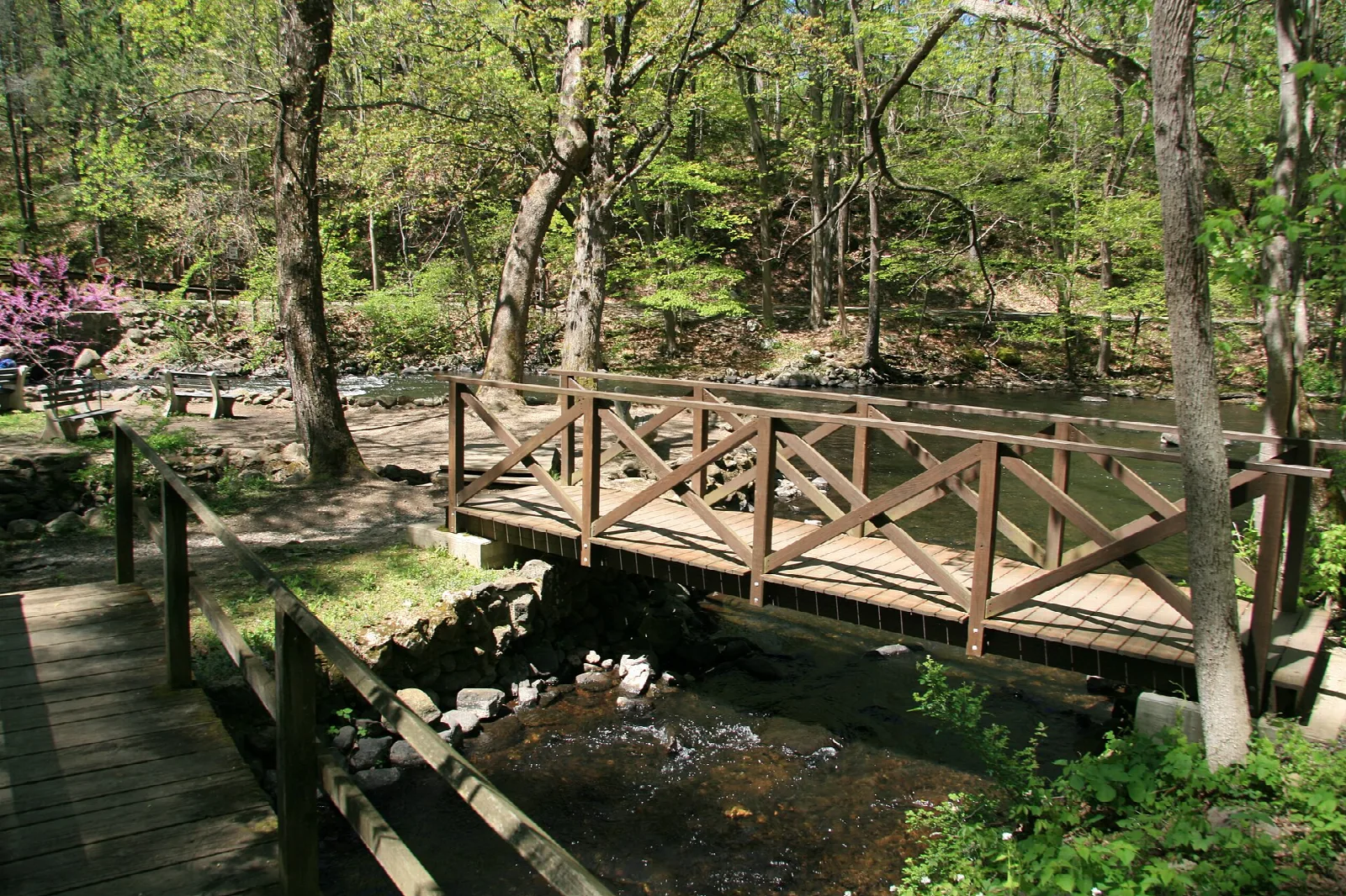 Wooden footbridge over a creek in spring woods