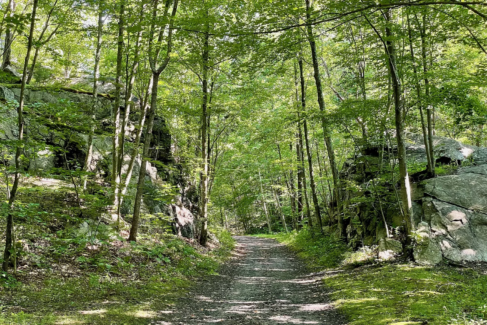 Gravel trail through a rock cut in green woods