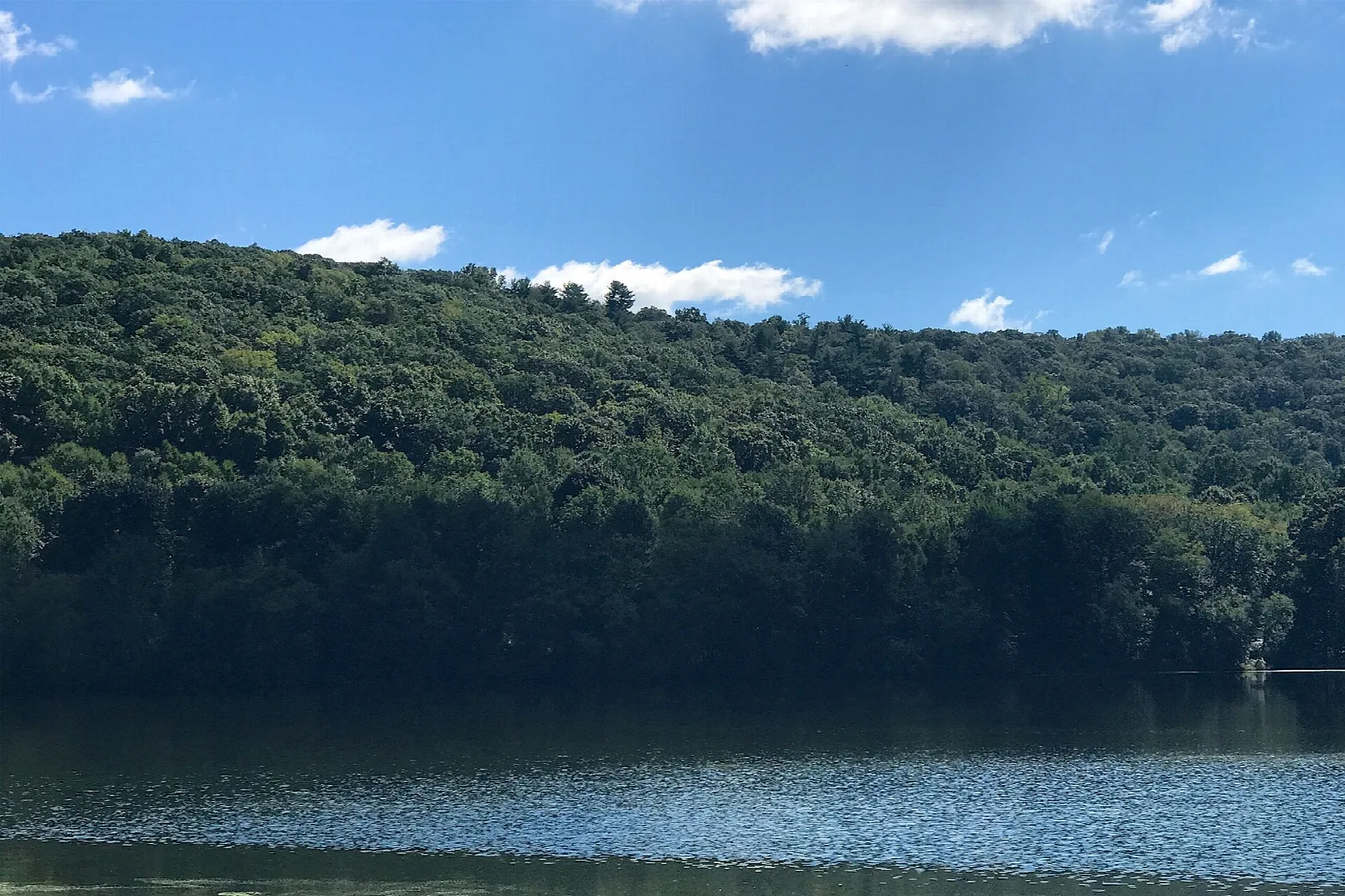 Forested mountain slope above a still pond