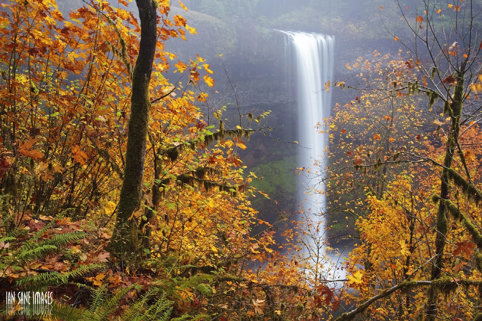 Waterfall seen through orange autumn leaves