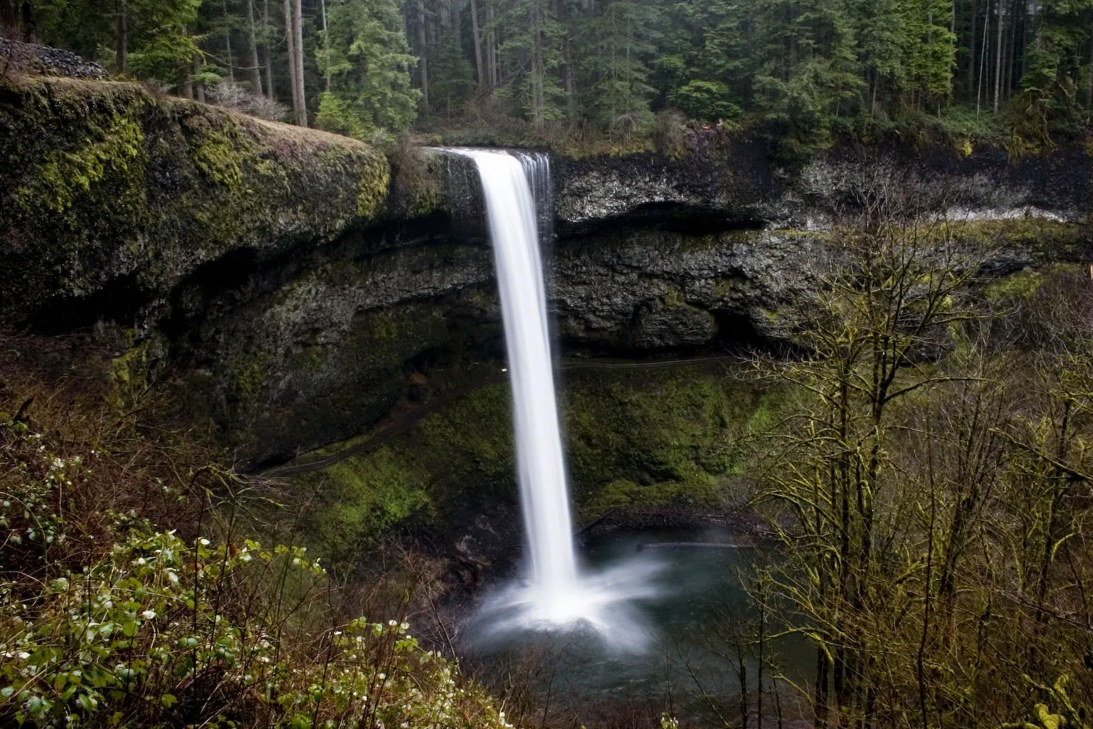 Tall waterfall dropping into a mossy forest basin