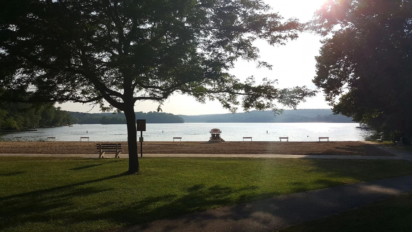 Wide lake with a grassy beach and shade tree