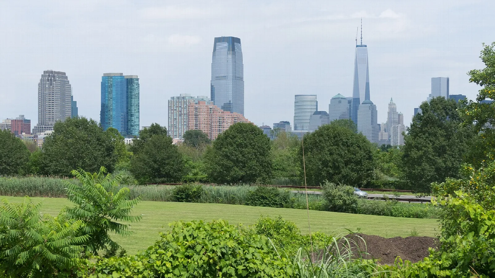 Grass field with city skyline behind