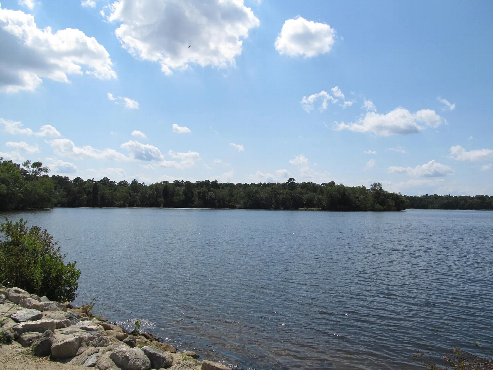 Lake shore with rocks and trees under blue sky