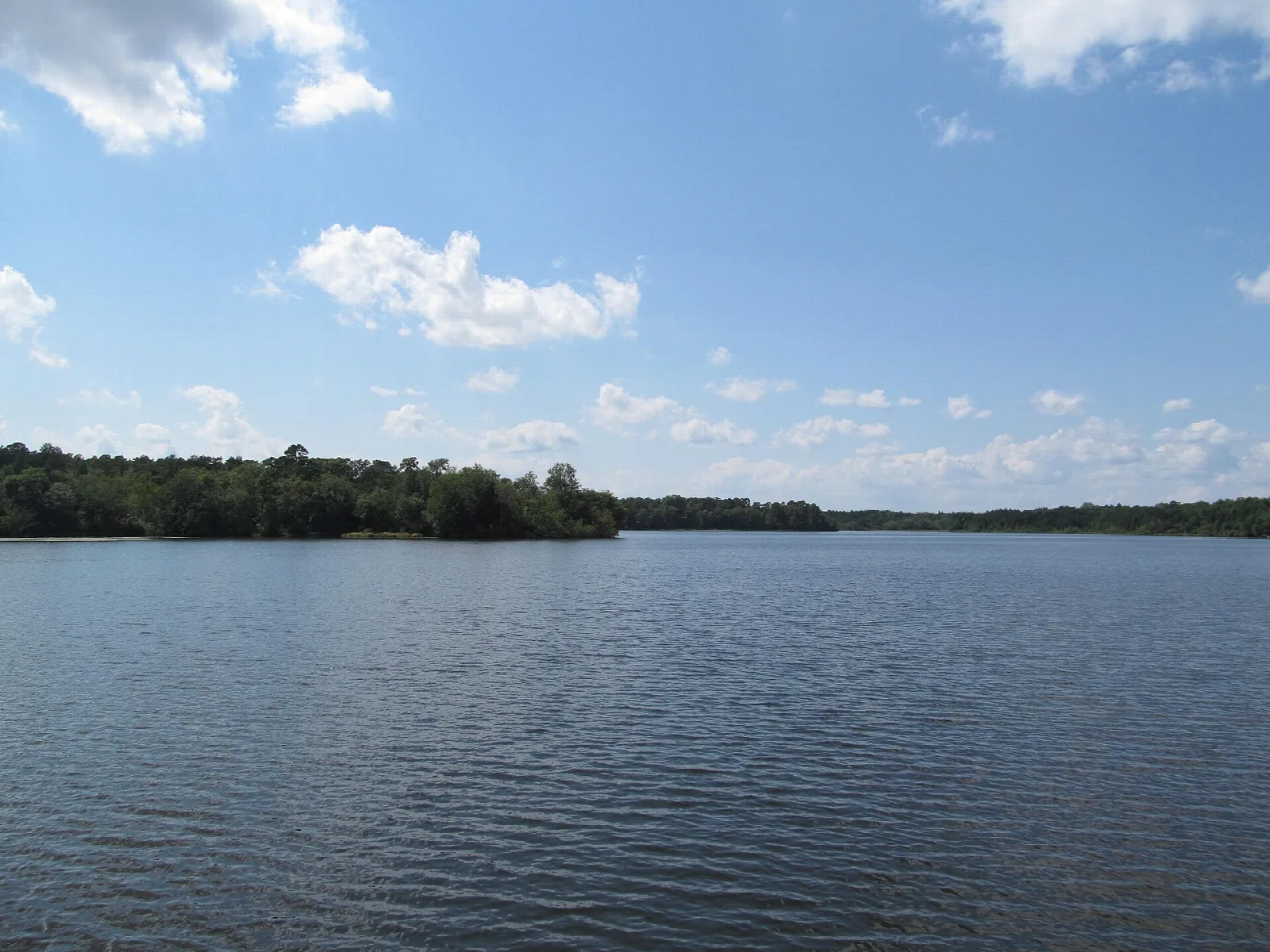 Wide lake with tree-lined shore under blue sky