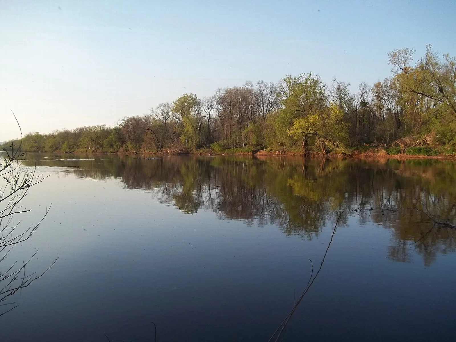 Calm water reflecting a tree-lined shore under a clear sky