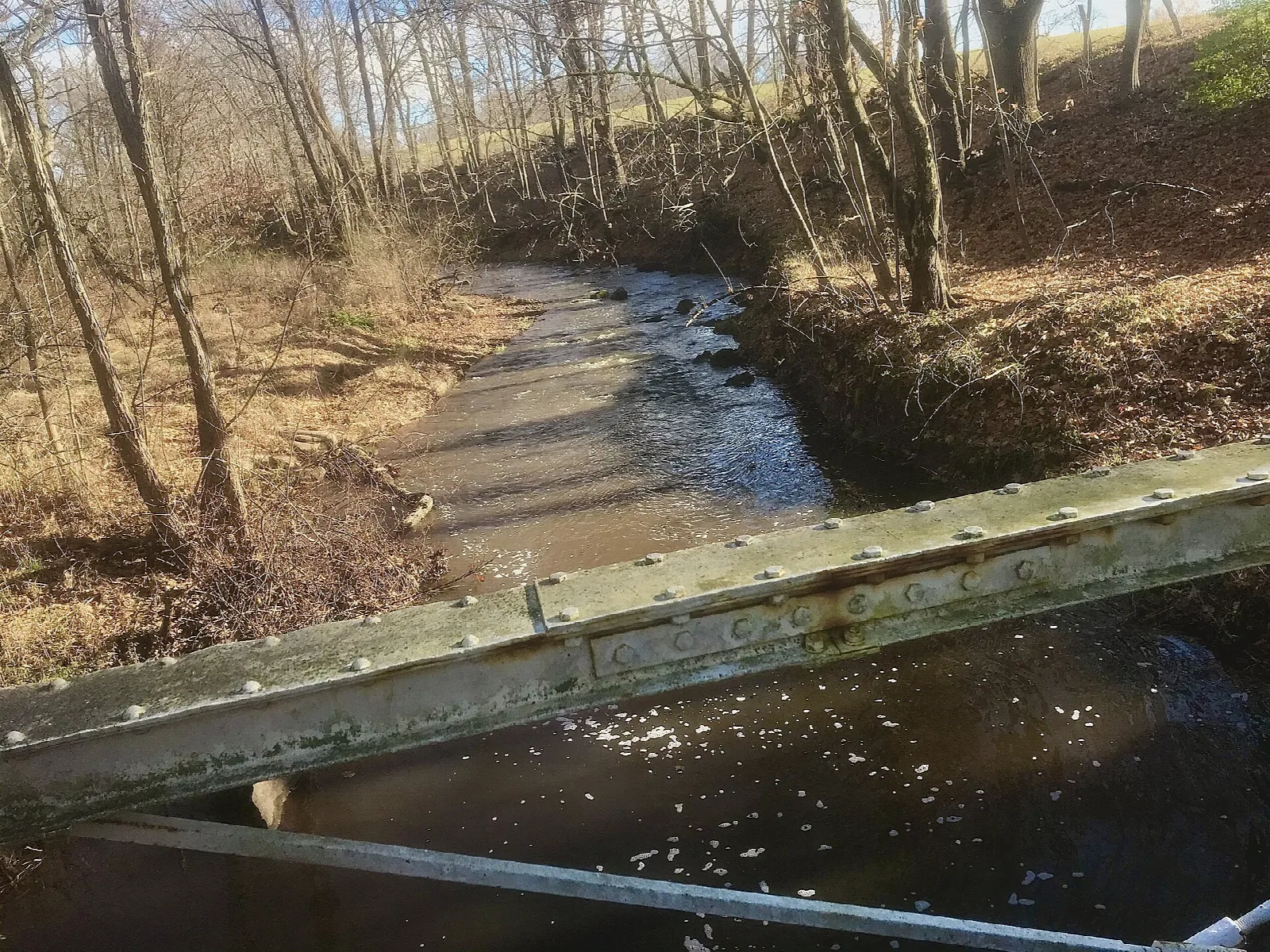Small stream below a steel bridge in bare woods