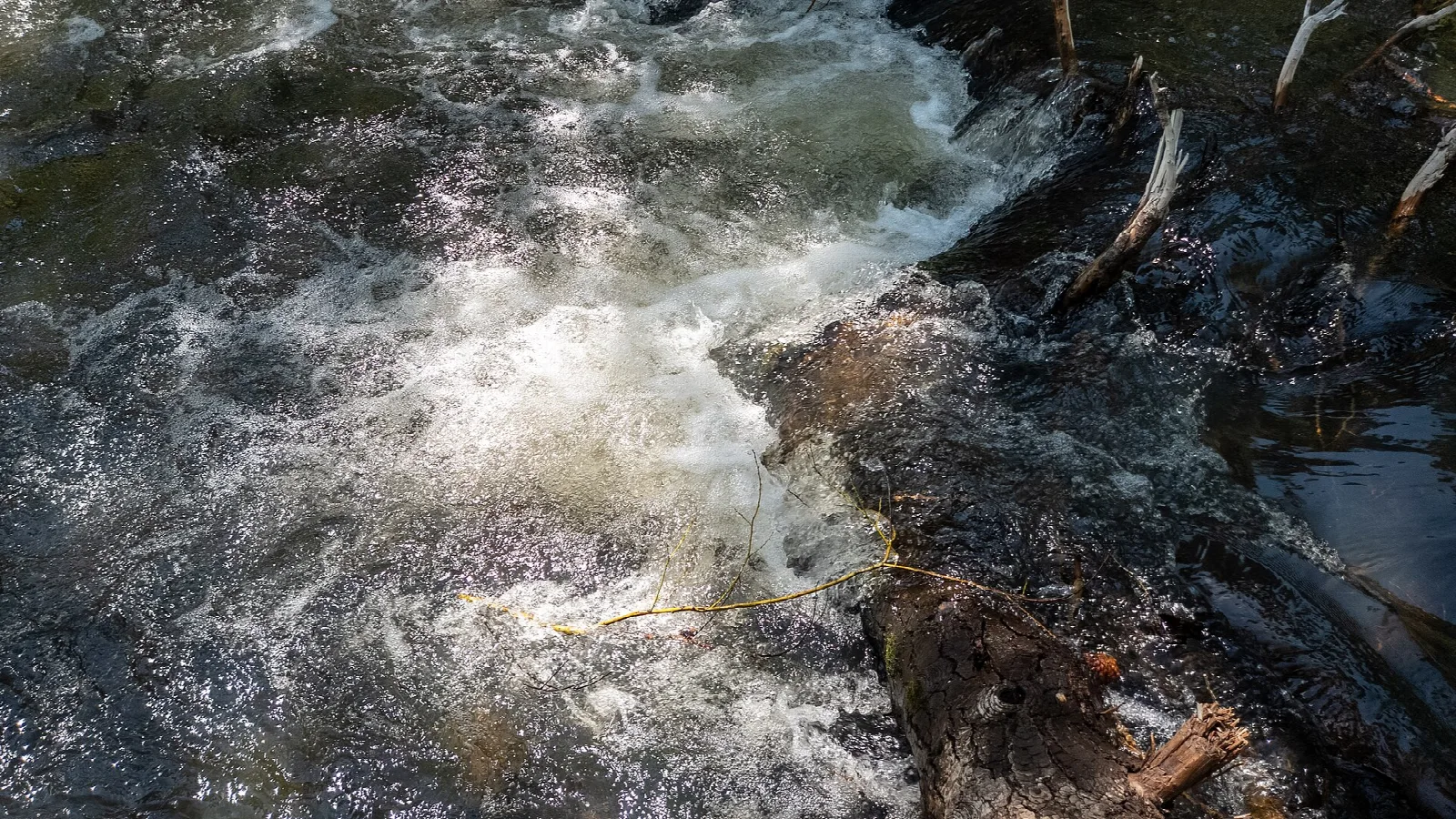 Whitewater rushing over dark rocks in a stream