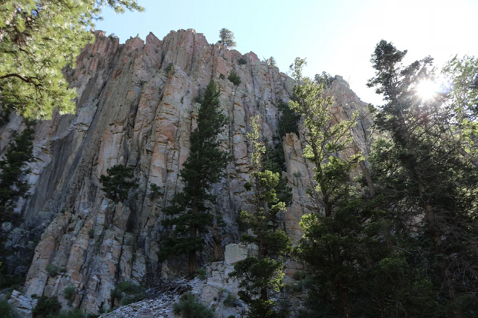 Tall columns of gray rock among pine trees