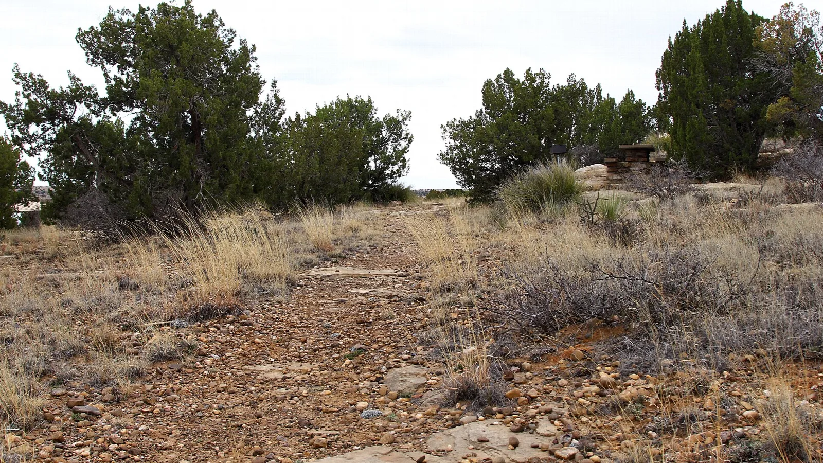 Dirt trail through dry grass and low trees