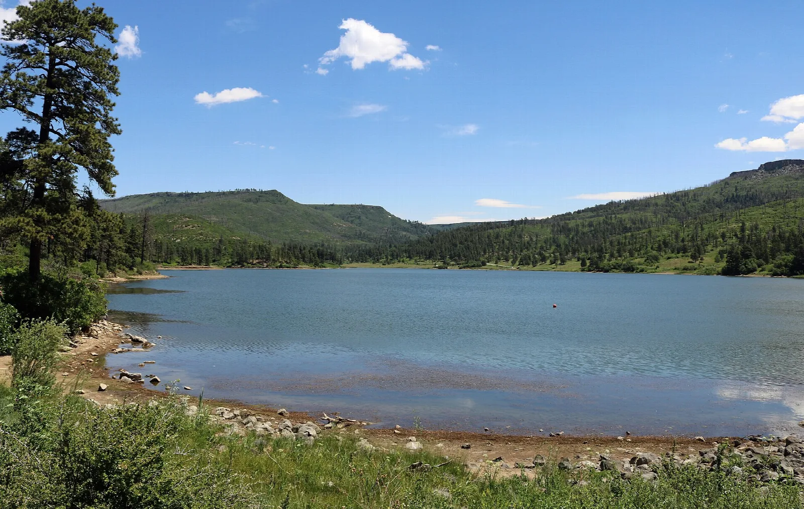 Mountain lake ringed by forested hills under blue sky