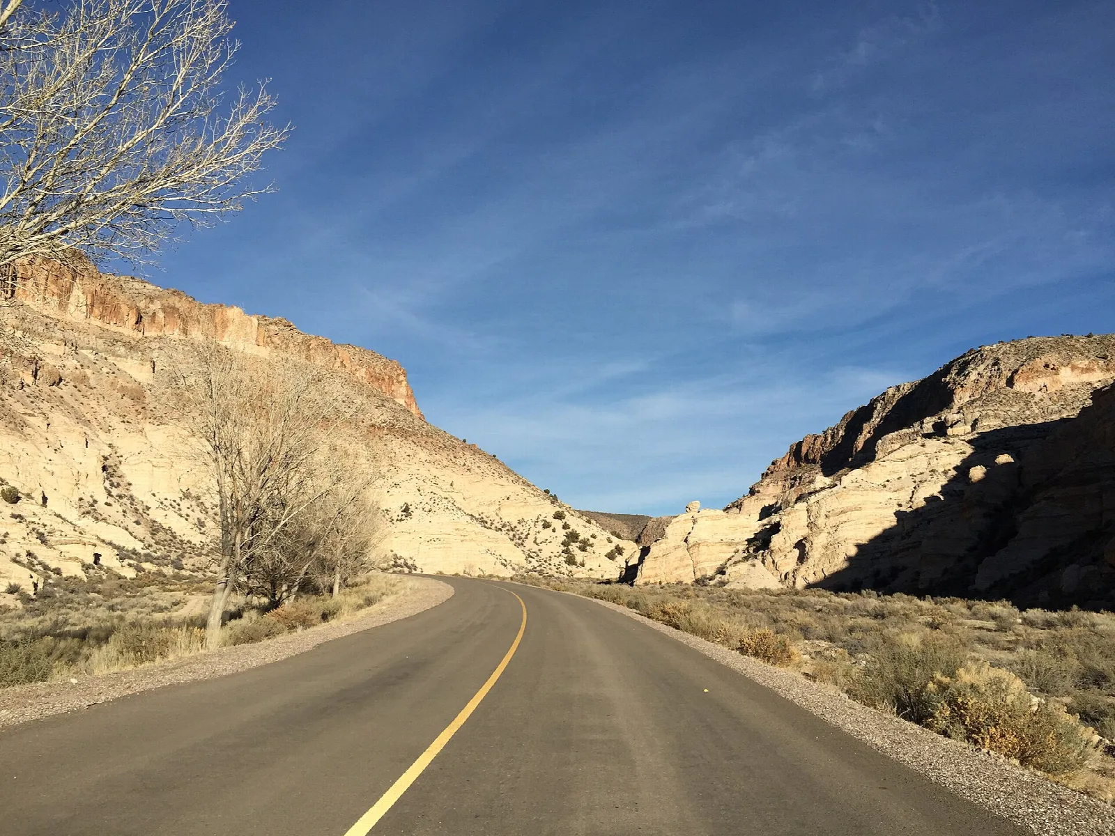 Paved park road curving between pale canyon walls under a blue sky
