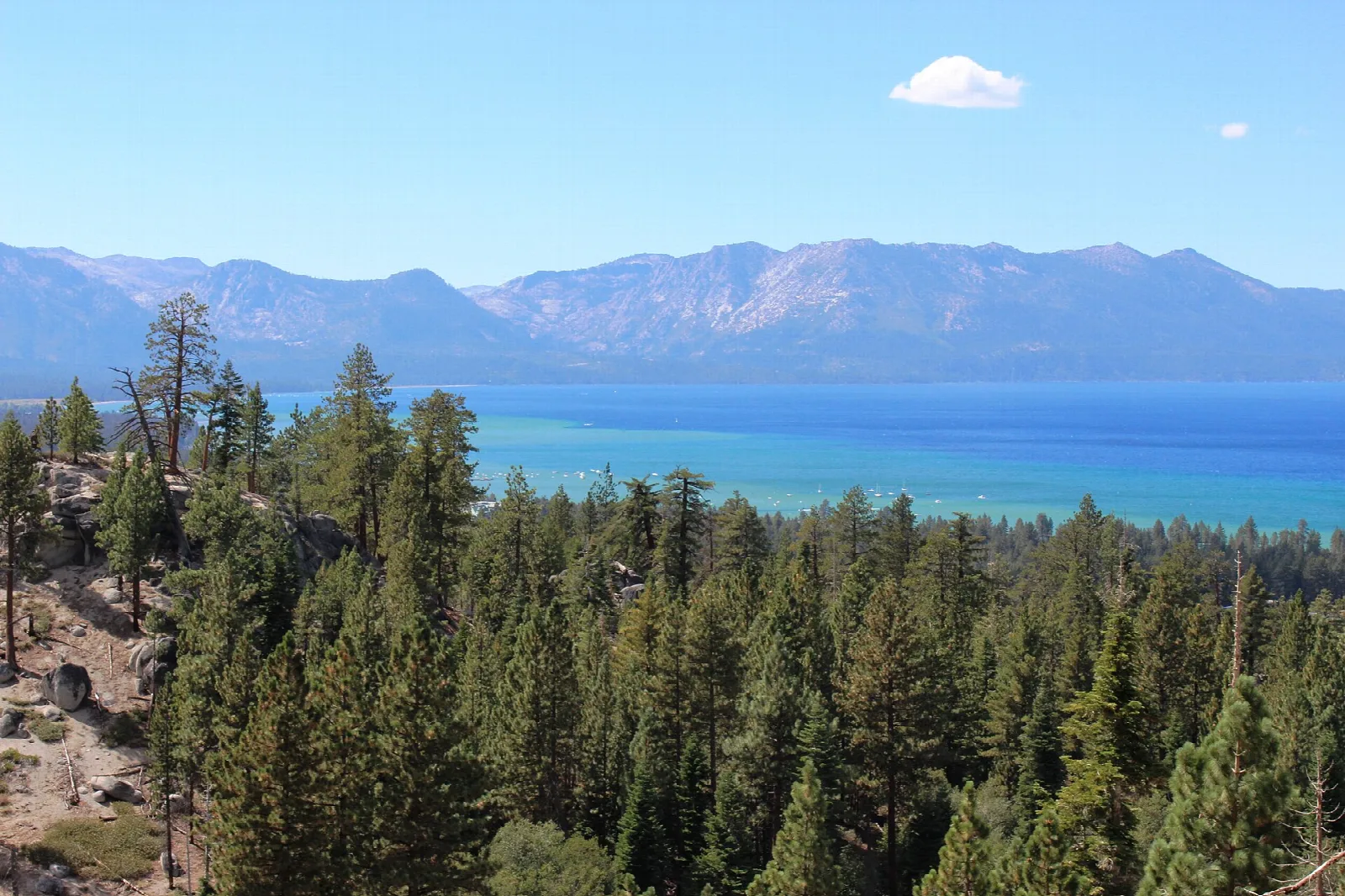 Pine forest on a slope with blue Lake Tahoe and mountains beyond