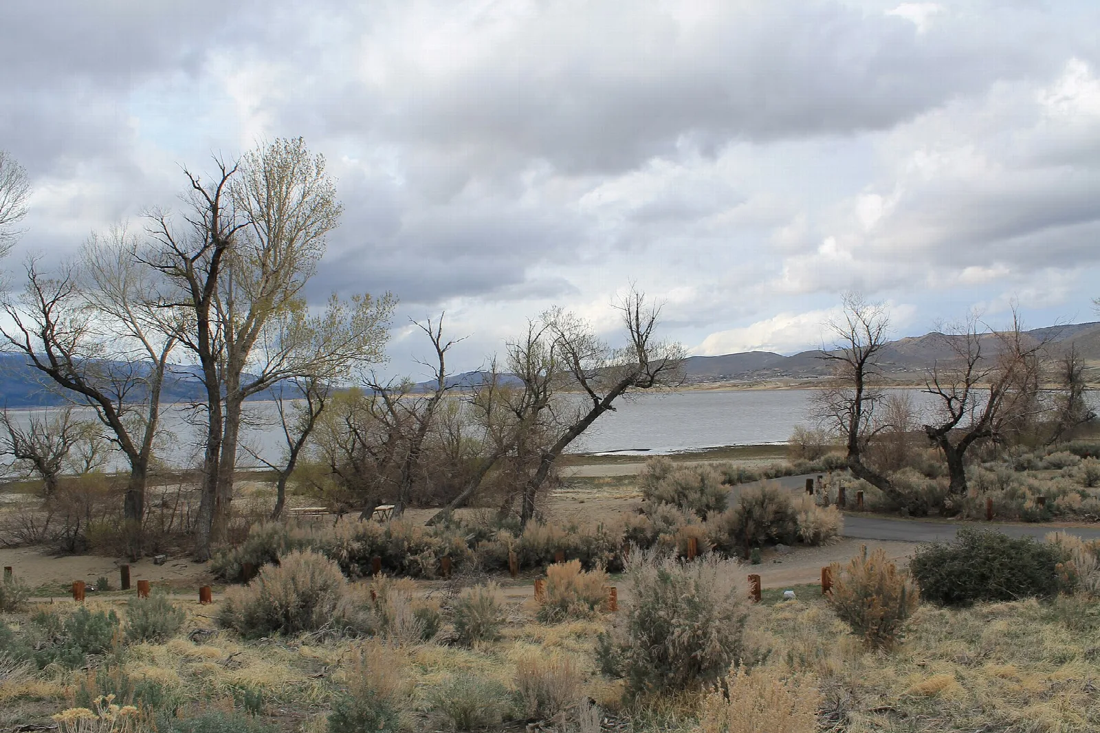 Bare trees and desert shrubs beside a lake under a cloudy sky