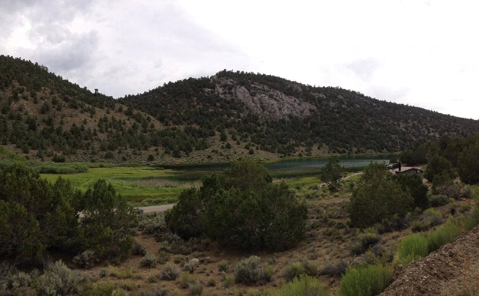 Green meadow and brush at the upper end of a lake below wooded hills