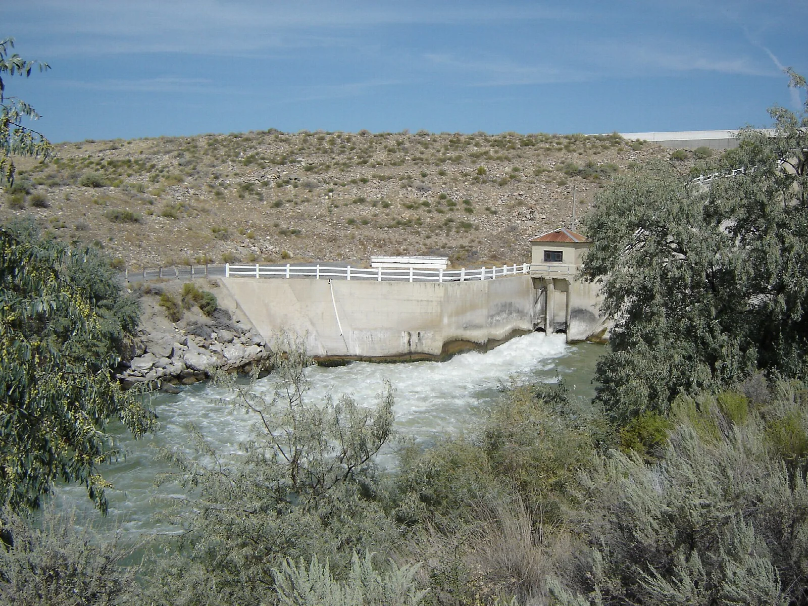 Water spilling from a small dam with brush in the foreground