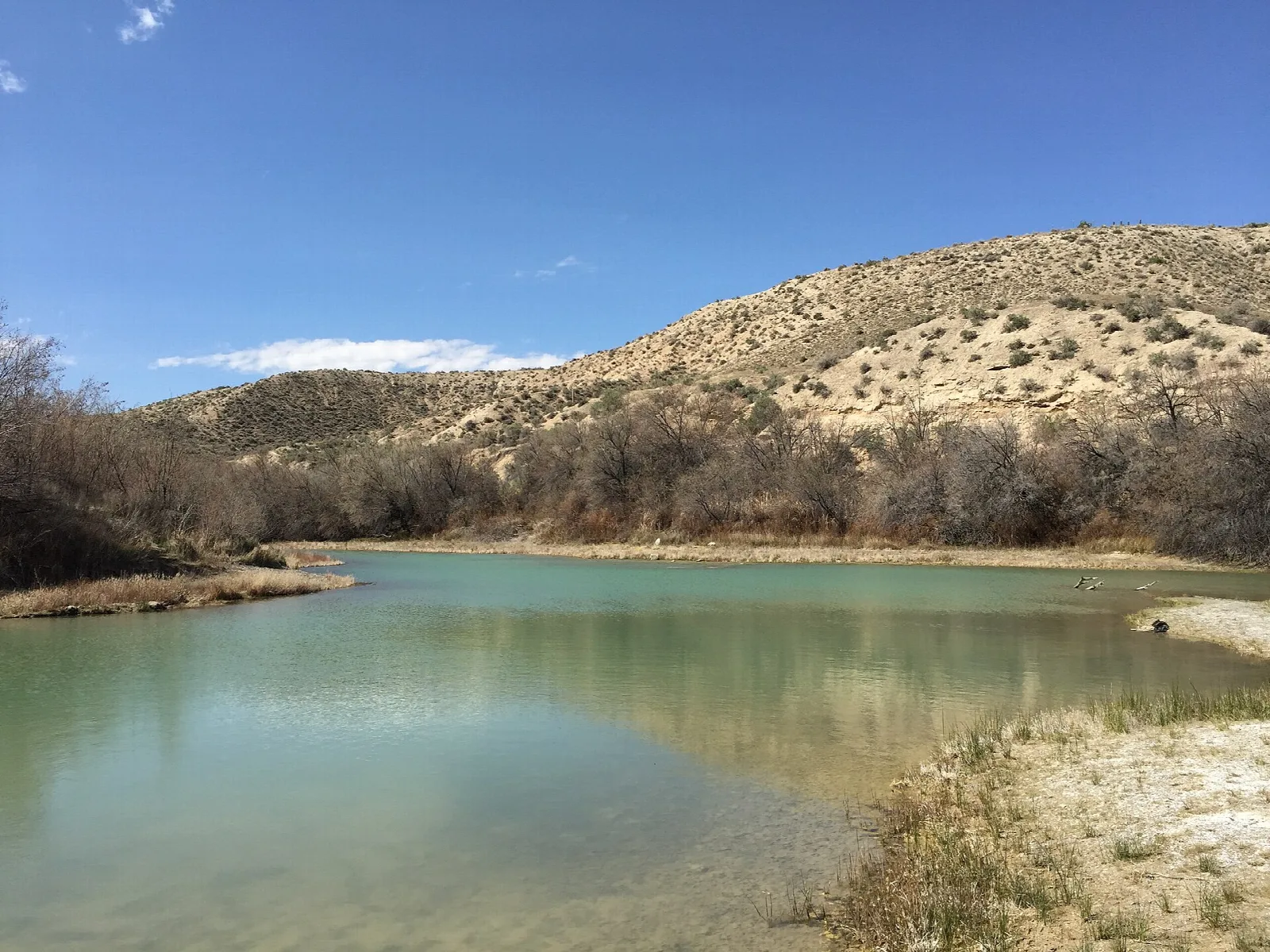 Green river bending past sandy hills and bare trees