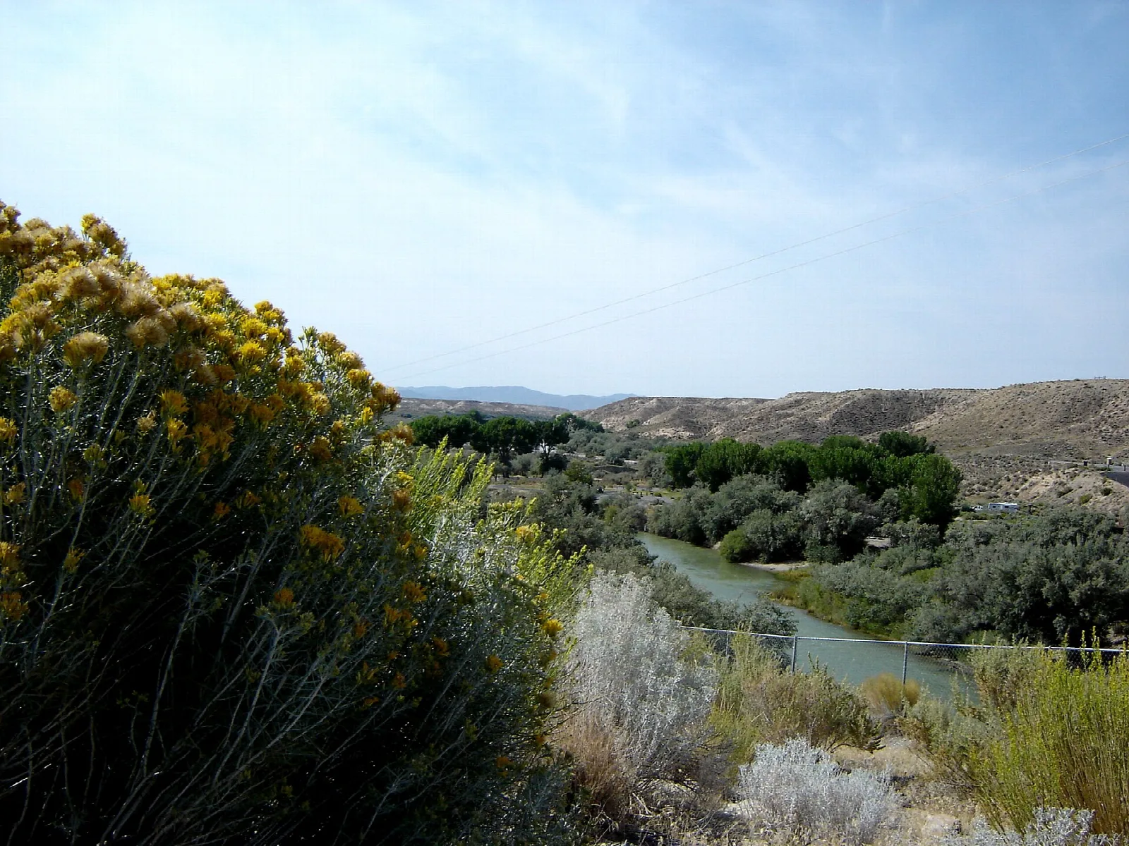 River winding through green trees with yellow rabbitbrush in the foreground