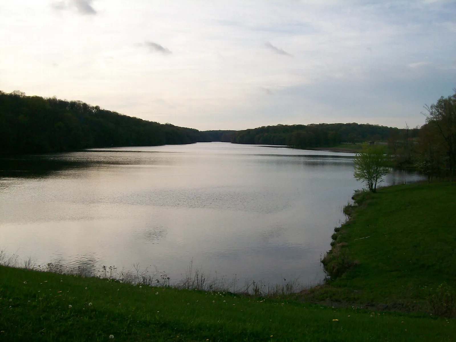 Calm lake with wooded hills and a grassy bank under a cloudy sky