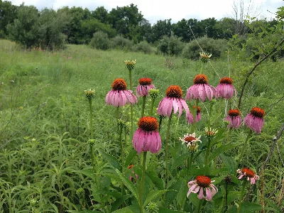 Buck Creek State Park