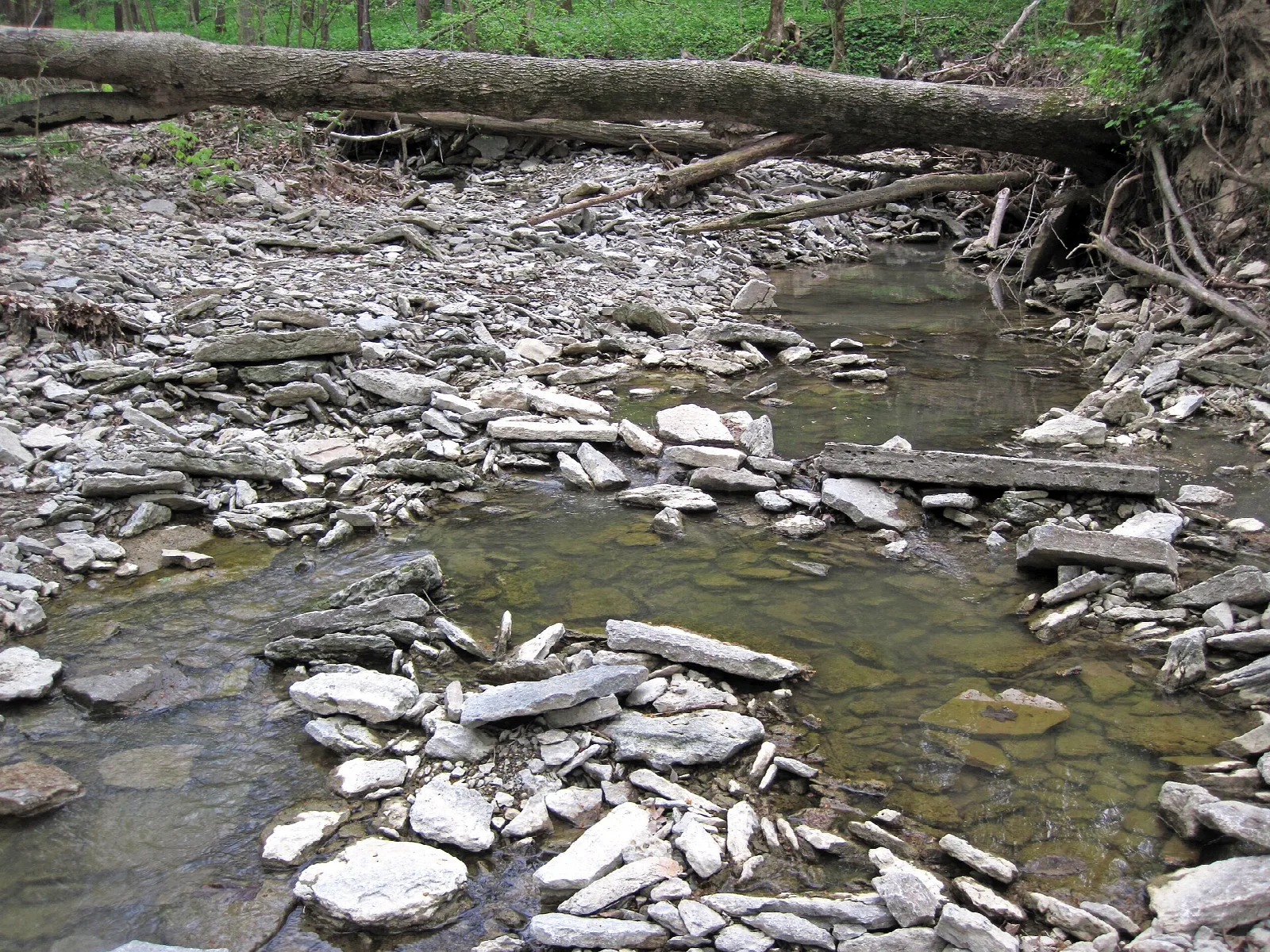 Shallow creek bed filled with flat limestone slabs
