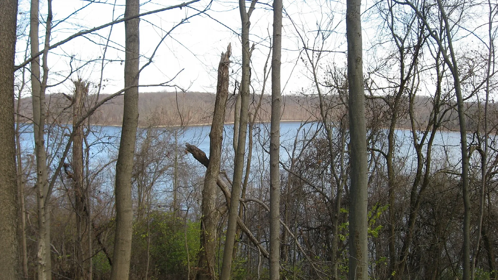 Lake seen through bare trees from a wooded rise