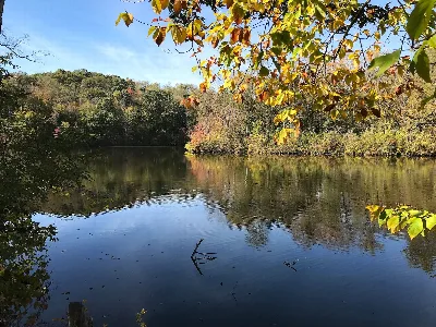 Forked Run State Park