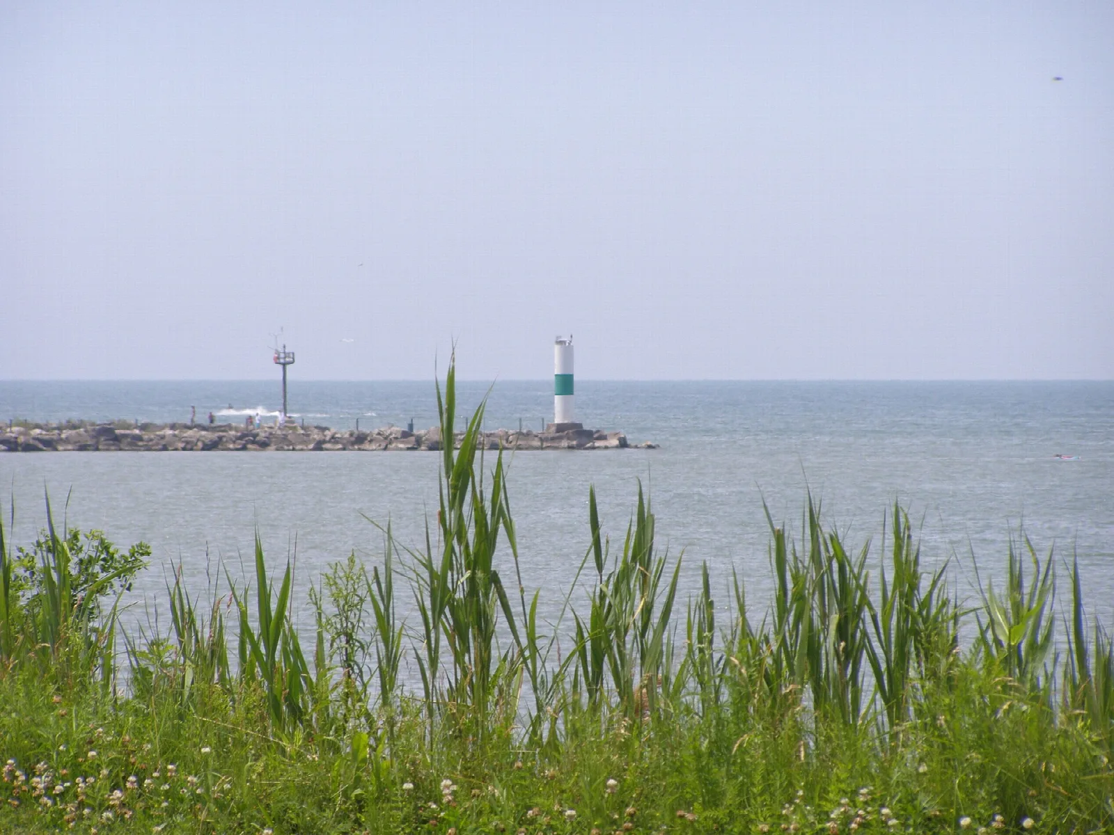 Lighthouse and marina breakwater across Lake Erie behind tall reeds