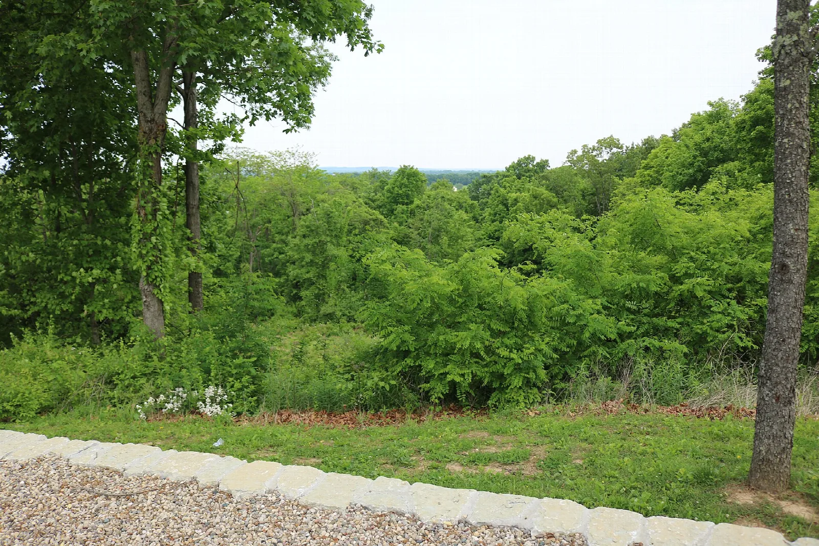 Overlook with a gravel edge looking over green treetops