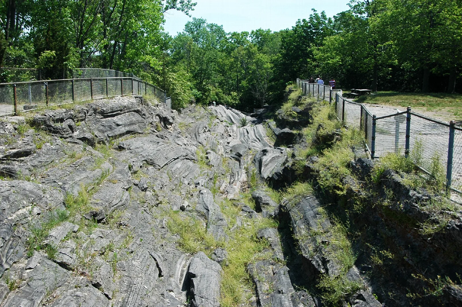 Deep glacial grooves in limestone beside a fenced path and trees