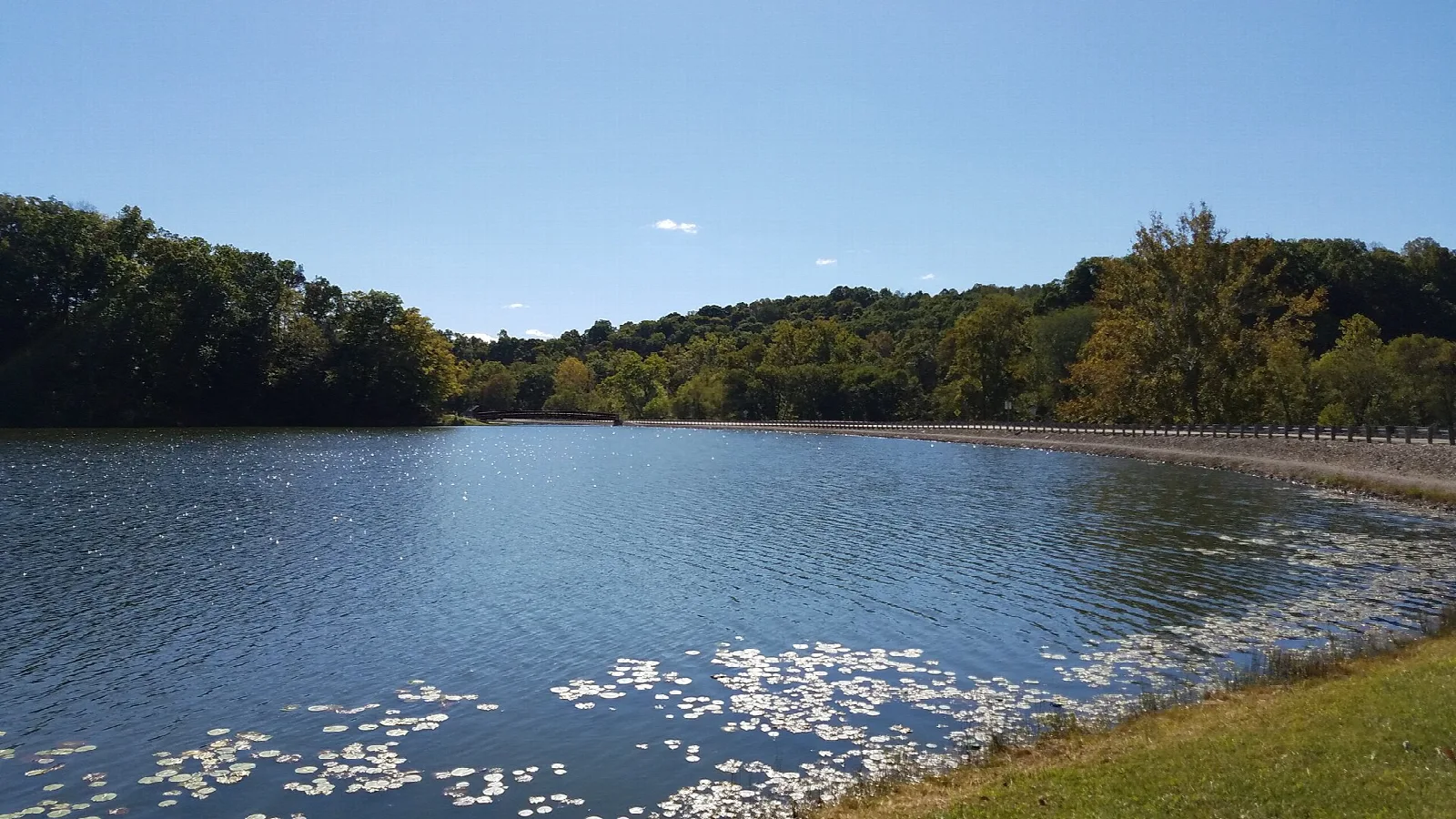 Lake with lily pads along a grassy bank and wooded hills