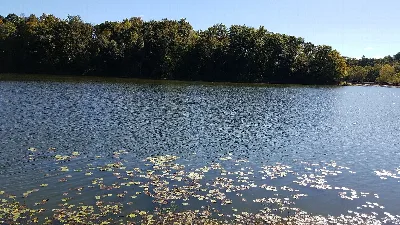 Lake Alma State Park