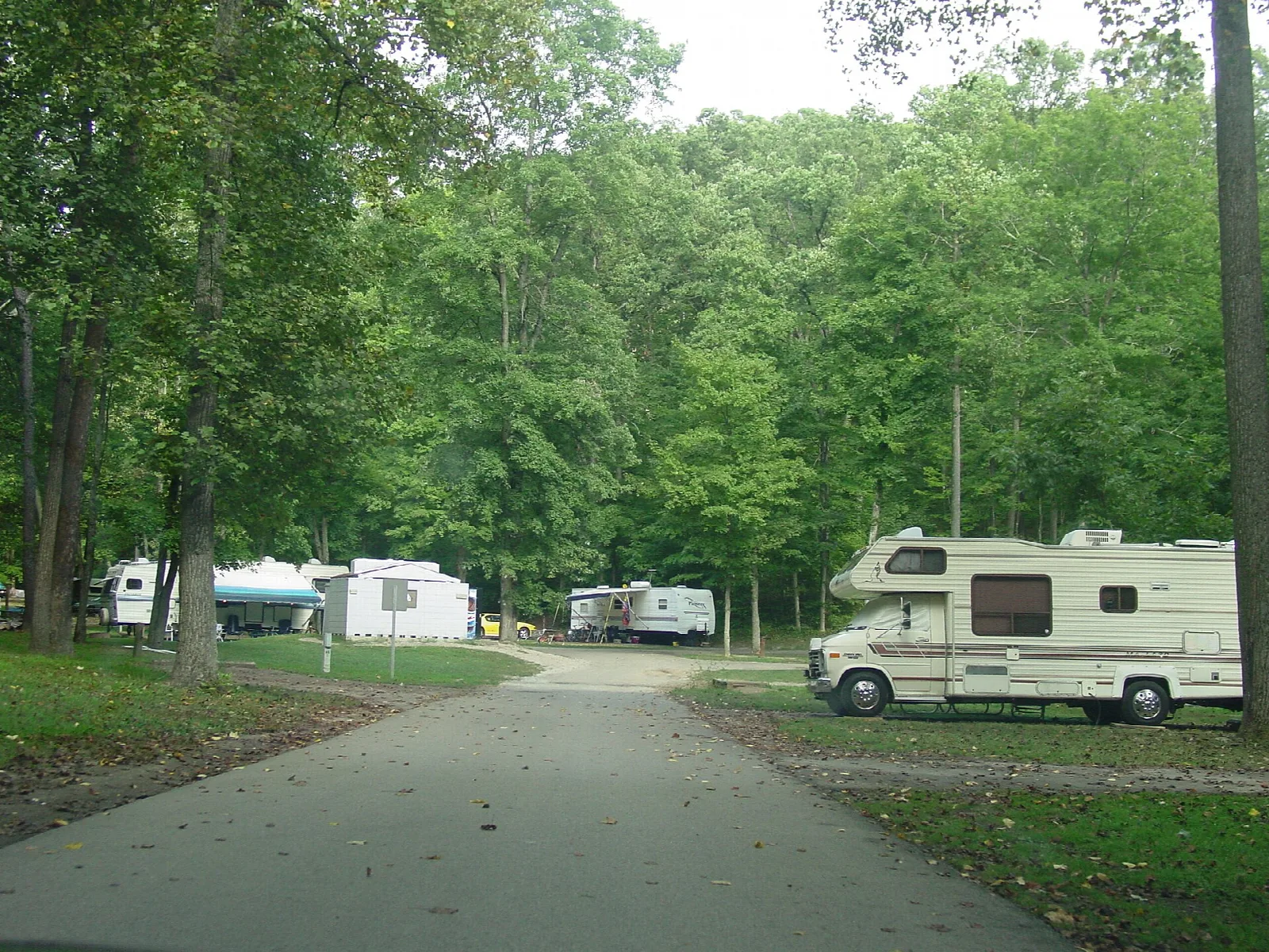 Paved campground loop with campers parked among tall trees